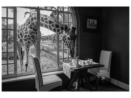 canvas-print-breakfast-time-x