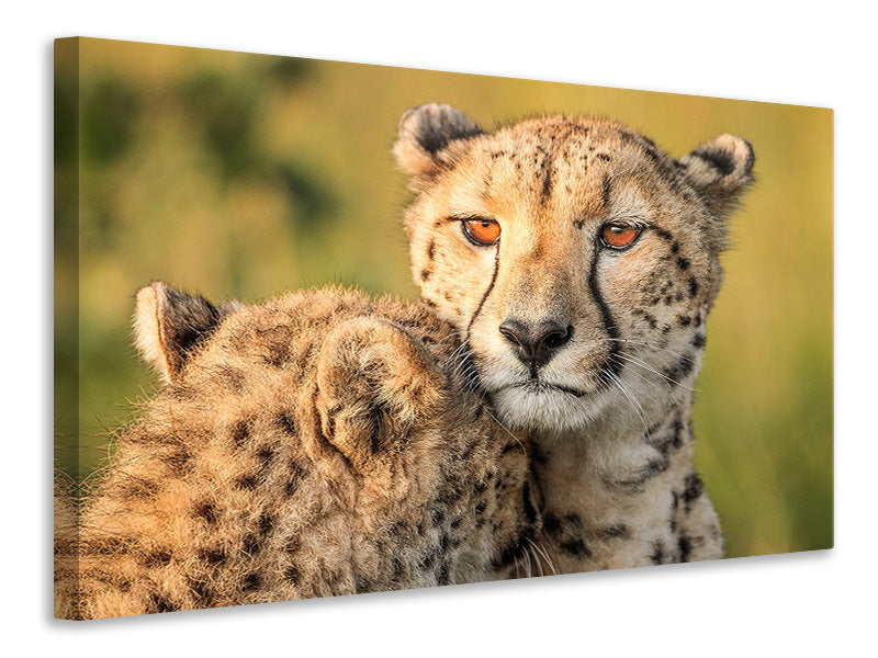 canvas-print-cheetah-eyes