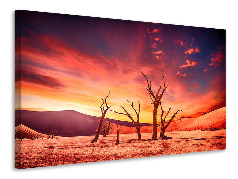 canvas-print-colorful-desert