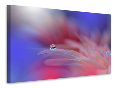 canvas-print-colorful-explosion