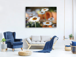 canvas-print-daisies-xl