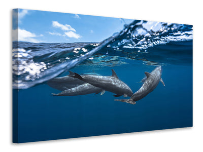 canvas-print-dolphins