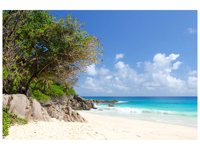 canvas-print-dream-beach-seychelles