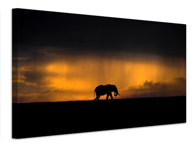 canvas-print-elephant-in-a-rain-storm-at-sunset-x
