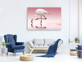 canvas-print-flamingo