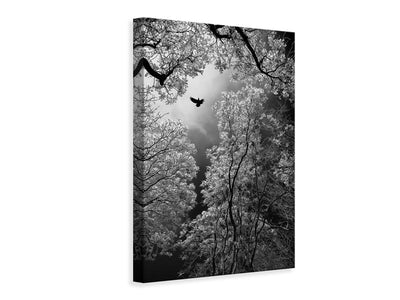 canvas-print-flight-x