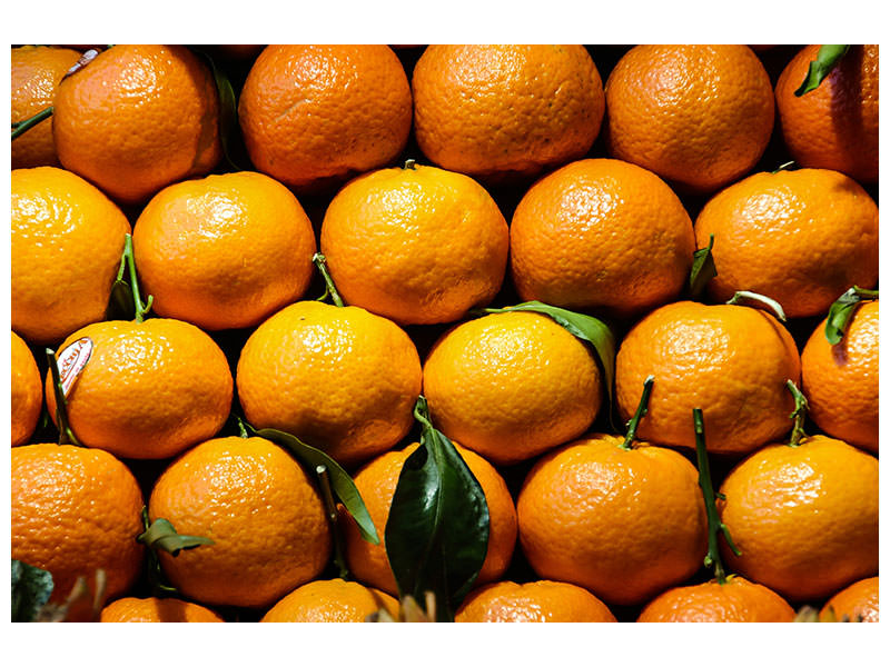 canvas-print-fresh-oranges