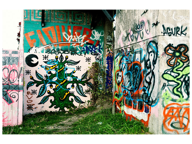 canvas-print-graffiti-in-the-backyard