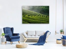 canvas-print-green-tea-farm