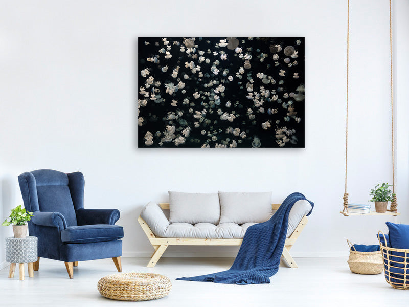 canvas-print-just-some-jellies