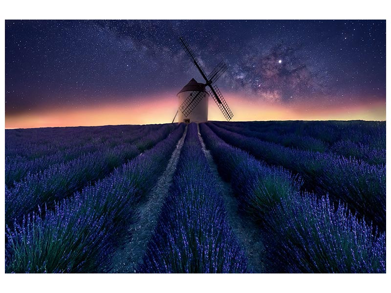 canvas-print-lavender-night-x