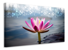 canvas-print-lotus-in-the-morning-dew