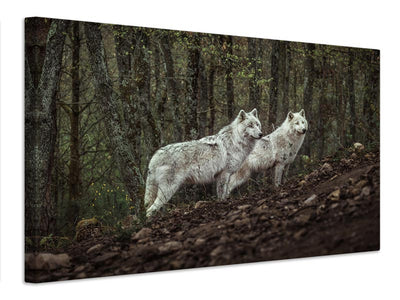 canvas-print-meeting-with-white-wolves-x