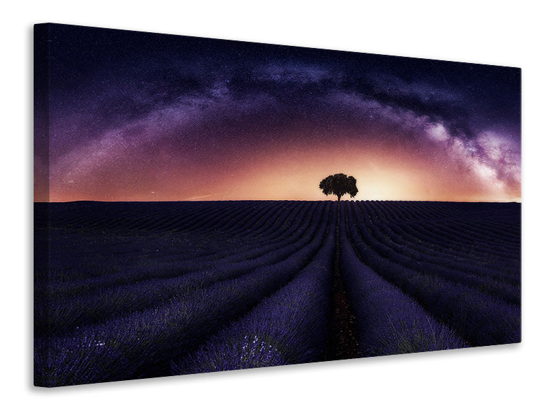 canvas-print-my-lavander