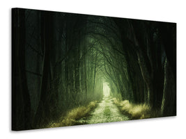 canvas-print-mysterious-forest-iii
