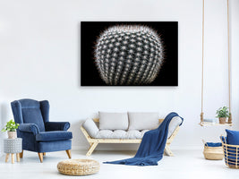 canvas-print-notocactus-scopa-ii