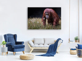canvas-print-orangutan-with-butterfly-x