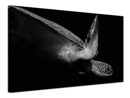 canvas-print-portrait-of-a-sea-turtle-in-black-and-white-ii-x