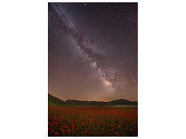 canvas-print-red-meadows