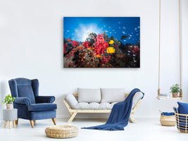 canvas-print-reef-life