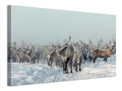 canvas-print-reindeers-x
