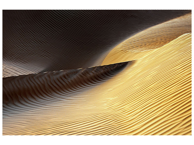 canvas-print-shapes-of-the-wind-ii