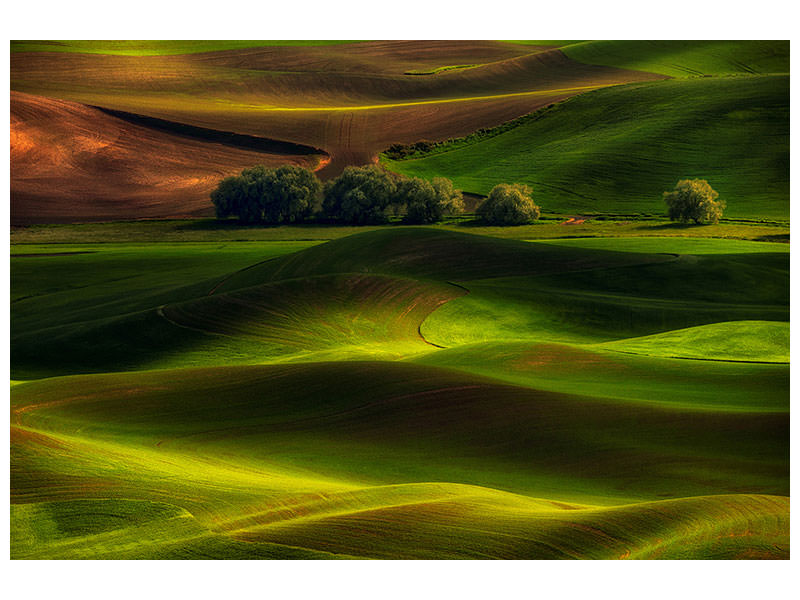 canvas-print-spring-in-the-palouse