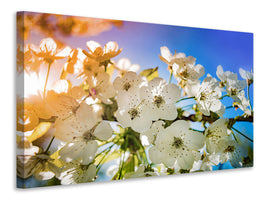 canvas-print-the-apple-tree-blossom