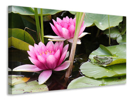 canvas-print-the-frog-in-the-protection-of-water-lilies