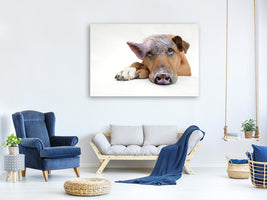 canvas-print-the-funny-pig-dog