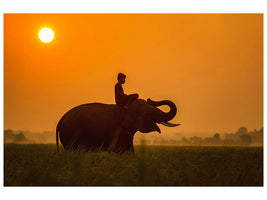 canvas-print-the-holy-elephant