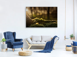 canvas-print-the-moss