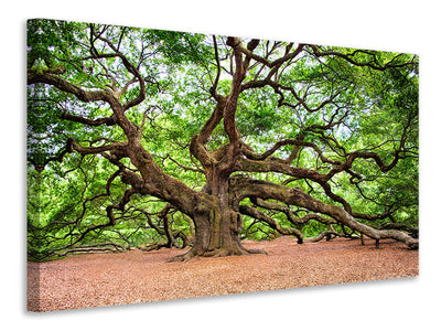 Tableau sur toile Plantes de la jungle vert foncé - Panorama Tableau sur toile Plantes de la jungle vert foncé - Panorama