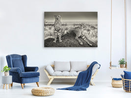 canvas-print-two-cheetahs-watching-out