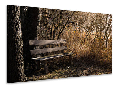canvas-print-wooden-bench-in-the-forest