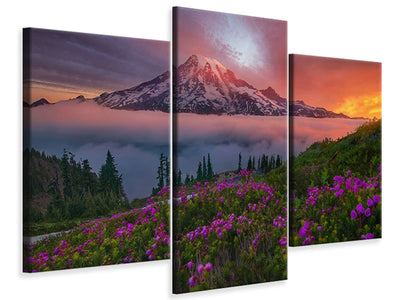 panoramic-canvas-print-the-seagulls-and-the-sea-at-sunrise