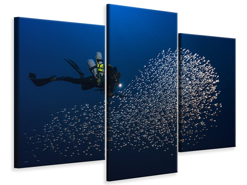 modern-3-piece-canvas-print-alvin-shoal