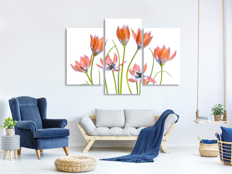 modern-3-piece-canvas-print-apricot-tulips