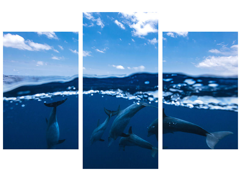 modern-3-piece-canvas-print-between-air-and-water-with-the-dolphins