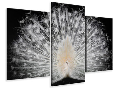 modern-3-piece-canvas-print-black-and-white-v