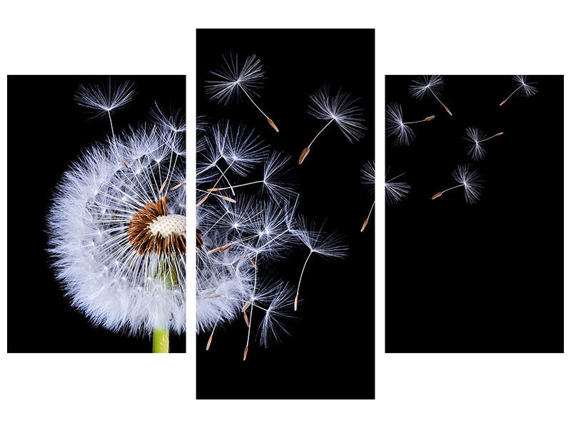 modern-3-piece-canvas-print-dandelion-blowing