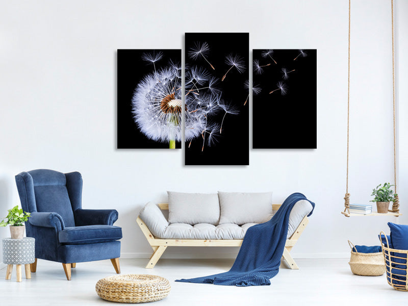 modern-3-piece-canvas-print-dandelion-blowing