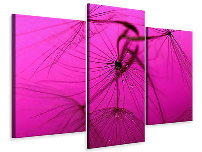 modern-3-piece-canvas-print-dandelion-in-pink