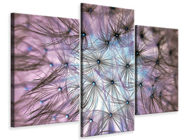 modern-3-piece-canvas-print-dandelion-in-the-light-play