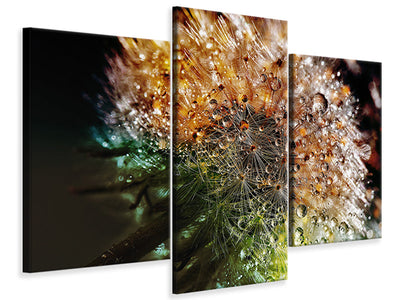 modern-3-piece-canvas-print-dandelion-in-the-morning-dew