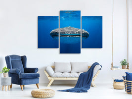 modern-3-piece-canvas-print-face-to-face-with-a-whale-shark