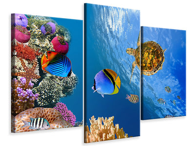 modern-3-piece-canvas-print-fish-in-the-water