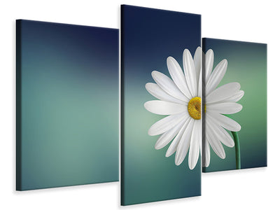 modern-3-piece-canvas-print-flower