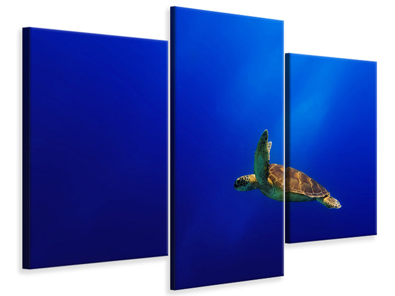 modern-3-piece-canvas-print-flying