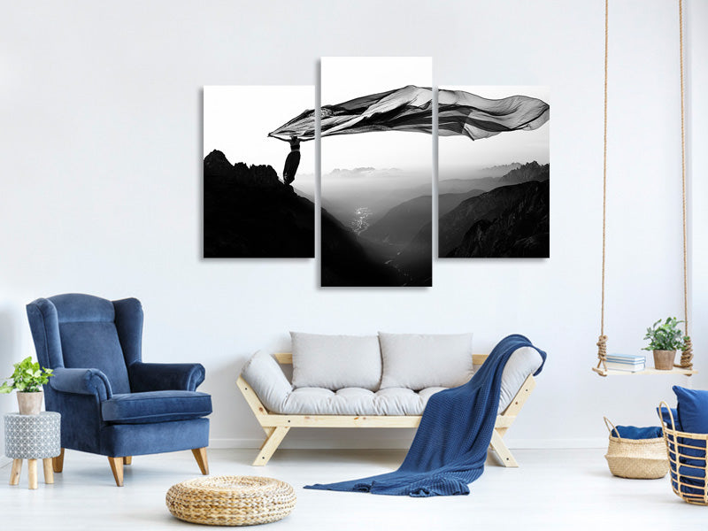 modern-3-piece-canvas-print-free-as-the-wind